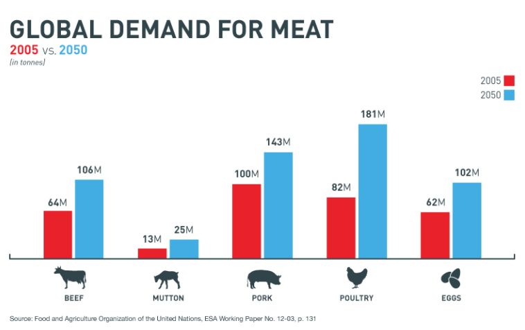 Meat Consumption